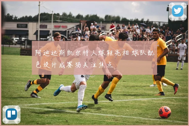 阿迪达斯凯尔特人球鞋亮相 球队配色设计成赛场关注焦点