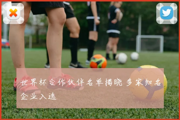 世界杯合作伙伴名单揭晓 多家知名企业入选