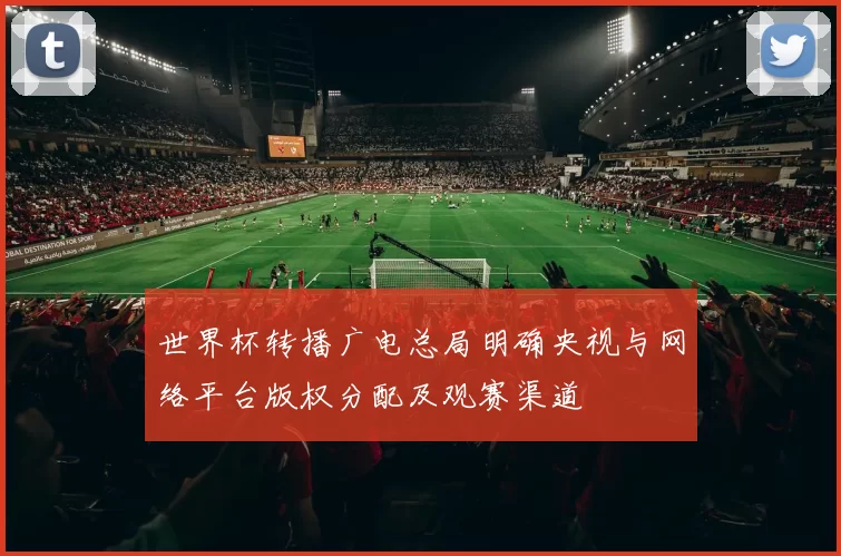 世界杯转播广电总局明确央视与网络平台版权分配及观赛渠道