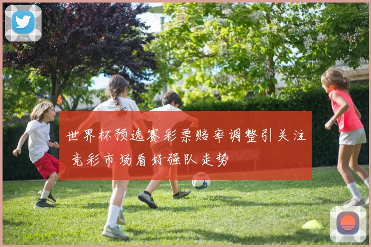 世界杯预选赛彩票赔率调整引关注 竞彩市场看好强队走势