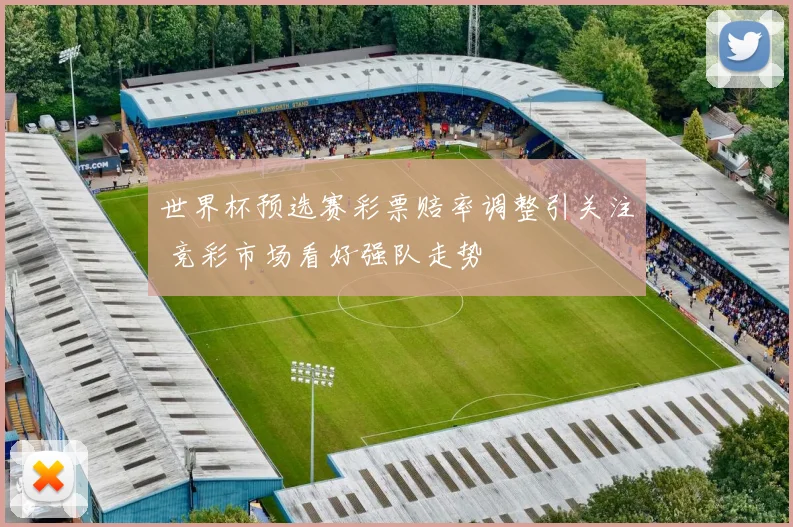 世界杯预选赛彩票赔率调整引关注 竞彩市场看好强队走势